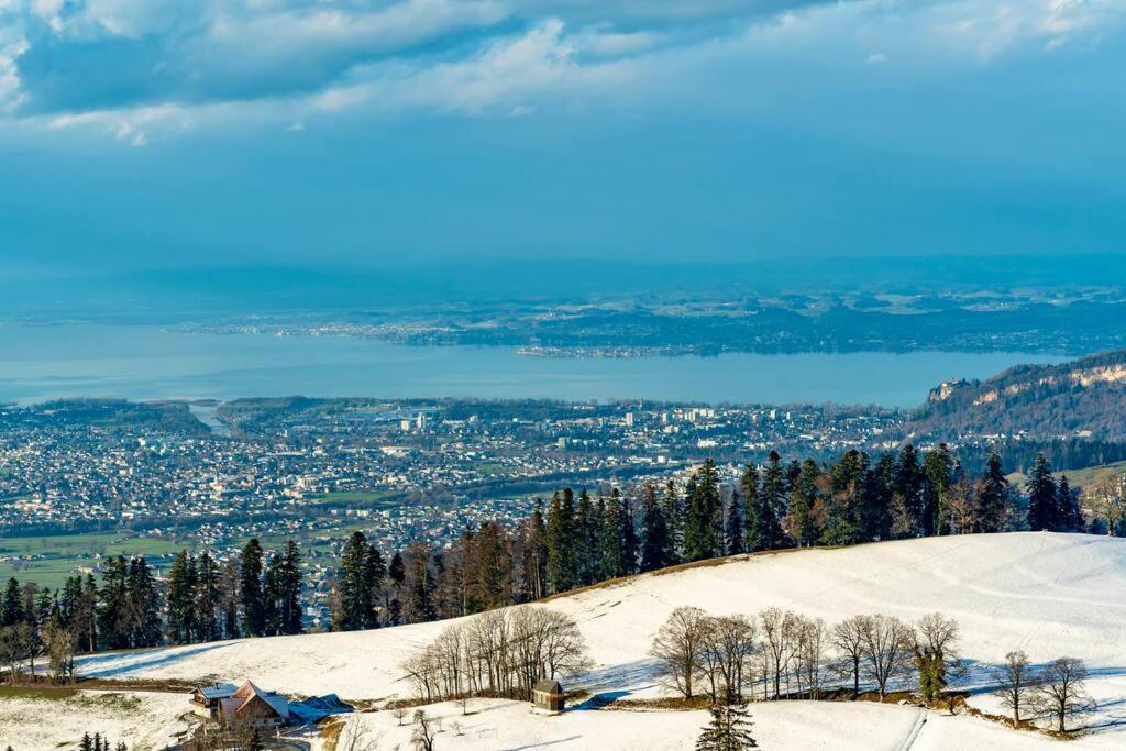 Seeparkvilla - Wohlfuehlen Am See Und Im Gruenen Bregenz Eksteriør billede